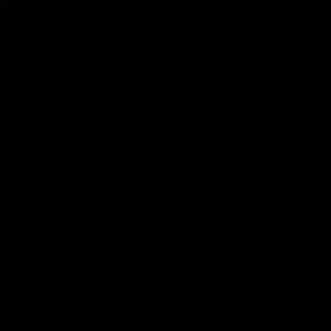 Meet your Posher, Bridget